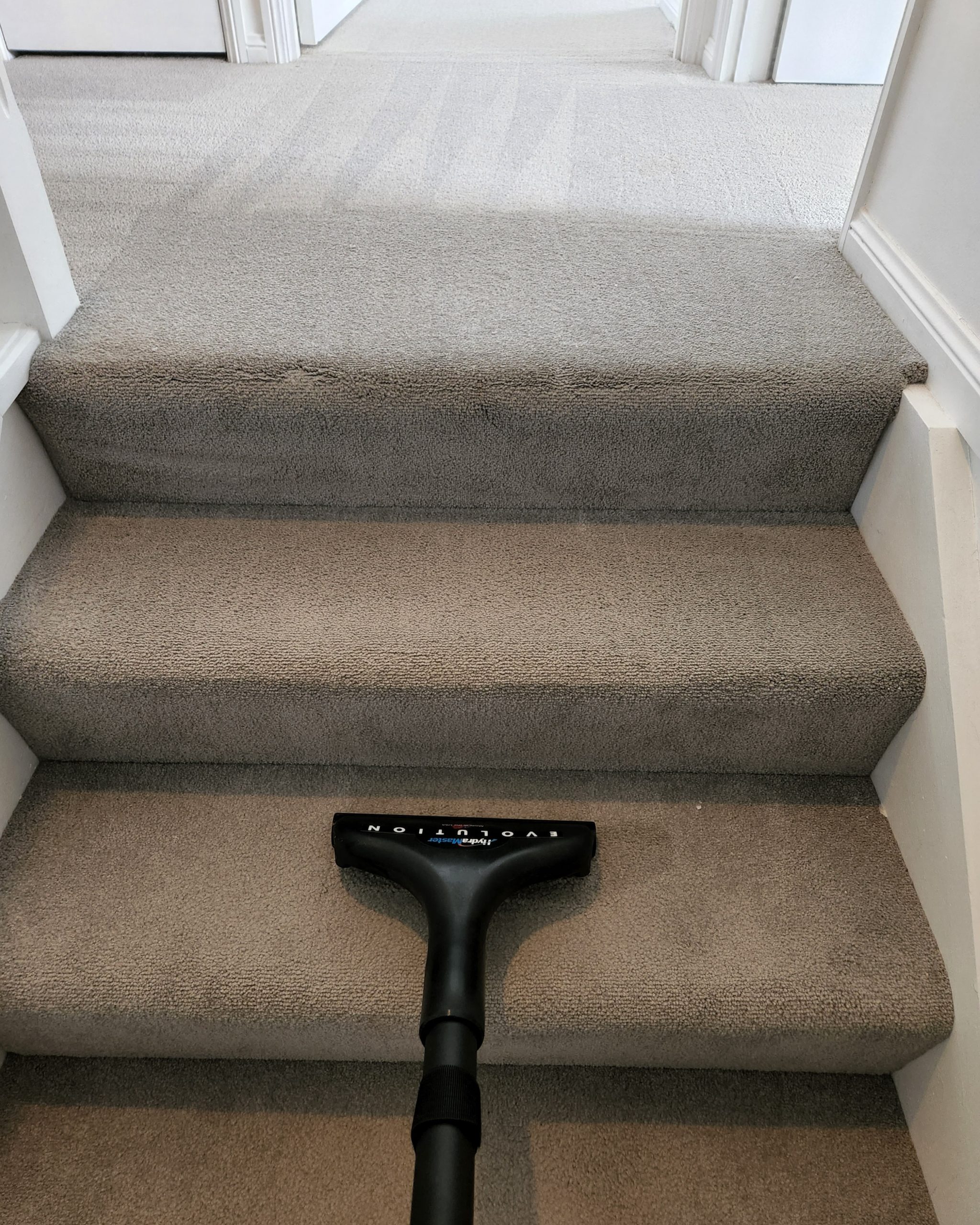  RESIDENTIAL CARPET CLEANING