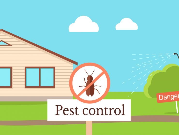 Tried And Test Pest Control Tips That Will Definitely Help You