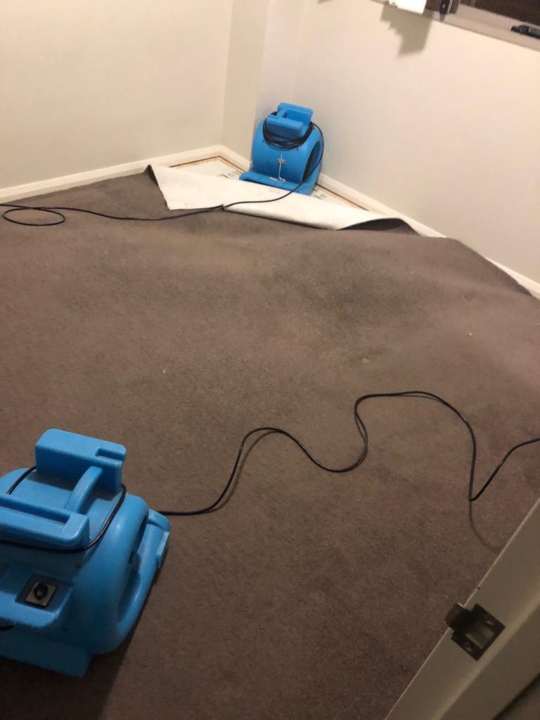  RESIDENTIAL CARPET CLEANING